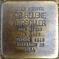 wikimedia_commons=File:Stolperstein_Helene_Hirschler_LU_2018.jpg