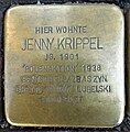 wikimedia_commons=File:Stolpersteine Ulm Jenny Krippel.jpg