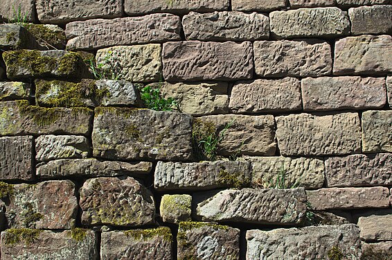 Stone stairs overgrown with grass in Maulbronn