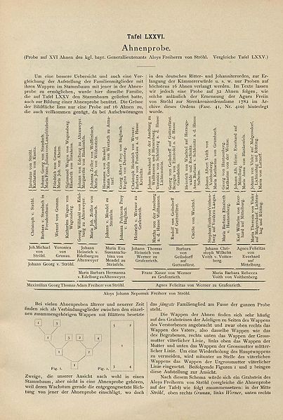 File:Ströhl Heraldischer Atlas t76 1.jpg