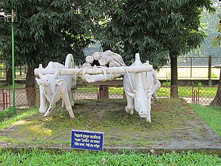 Struggle of Bullock, sculpture in Sonargaon 02.jpg