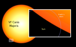 Aurinko ja VY Canis Majoris kokovertailussa. Katkoviivalla Maan kiertorata Auringon ympäri.
