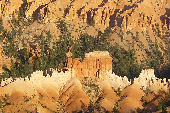 Rock formations in the Bryce Canyon at sunset, Utah, USA