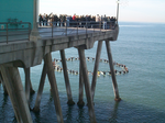 A surfer memorial service being held at the Huntington Beach Pier