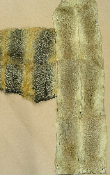 File:Suslikskin.jpg