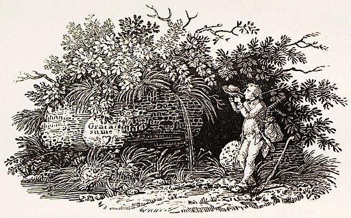 Holzstich von Thomas Bewick