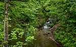 Vorschaubild für Tannbach (Wieslauf)