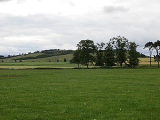 <span class="mw-page-title-main">Tarn Wadling</span>