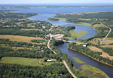 Tatamagouche Aerial.jpg