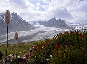 Tavan Bogd: Fronteras internacionales, Picos, Glaciación