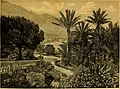 "The_Gardeners'_chronicle_-_a_weekly_illustrated_journal_of_horticulture_and_allied_subjects_(1881)_(14597540840).jpg" by User:Fæ