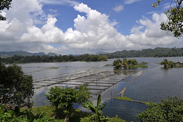 Image: The Placid Lake of Lake Sebu