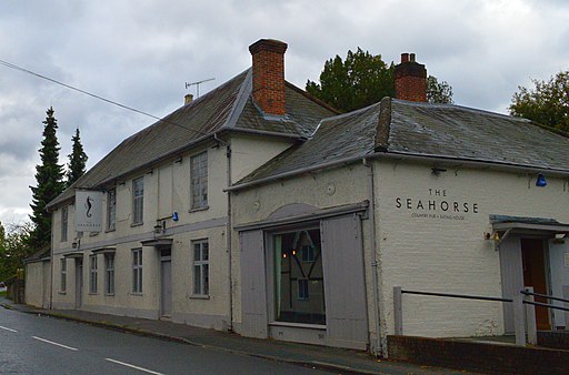 The Seahorse Shalford