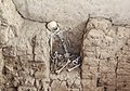 * Nomination Skeleton of a sentry in the tomb of the Lord of Sipán, Huaca Rajada, Peru --Bgag 04:34, 7 February 2016 (UTC) * Promotion Good quality. --Johann Jaritz 04:47, 7 February 2016 (UTC)