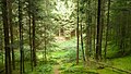 Deutsch: Toteiskessel 4a, Toteiskessel-Wanderweg bei Haag in Oberbayern