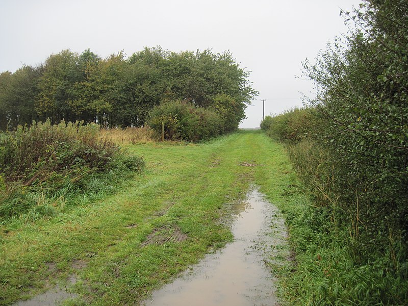 File:Track from Rise Farm - geograph.org.uk - 3973697.jpg