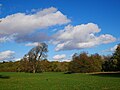 Foots Cray Meadows.