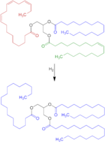 Thumbnail for File:Triglyceride Hydrogenation V.2.png