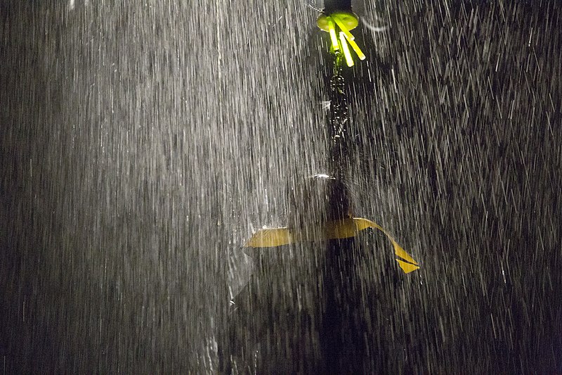 File:U.S. Marines practice water survival skills with Spanish allies 170215-M-VA786-1549.jpg