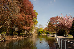 River Wandle in Carshalton