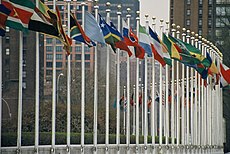 UN Members Flags.JPG