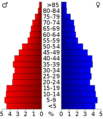 USA El Paso County, Texas age pyramid.svg