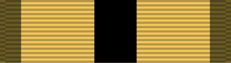 File:USMC Combat Instructor Ribbon.svg