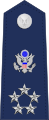 General of the Air Force shoulder epaulet