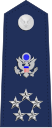 US Air Force O11 shoulderboard with seal.svg