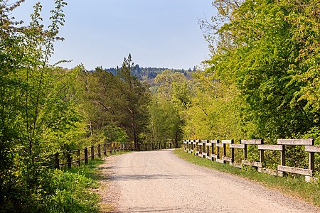 Urftseerandweg Obersee