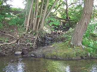 The Aitzenbach flows into the USA from the right