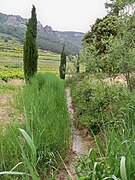 Das Vallat du Fenouillet zwischen der sarazenischen Spitze und dem Saint-Christophe-Felsen