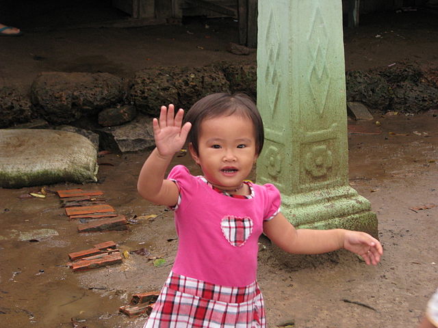 https://upload.wikimedia.org/wikipedia/commons/thumb/f/fe/Vietnam_08_-_124_-_children_always_have_a_wave_%283185906982%29.jpg/640px-Vietnam_08_-_124_-_children_always_have_a_wave_%283185906982%29.jpg