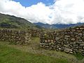 Inka Ruine Vitcos - Rosaspata