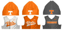 2023 Tennessee baseball: Vols' preseason honors