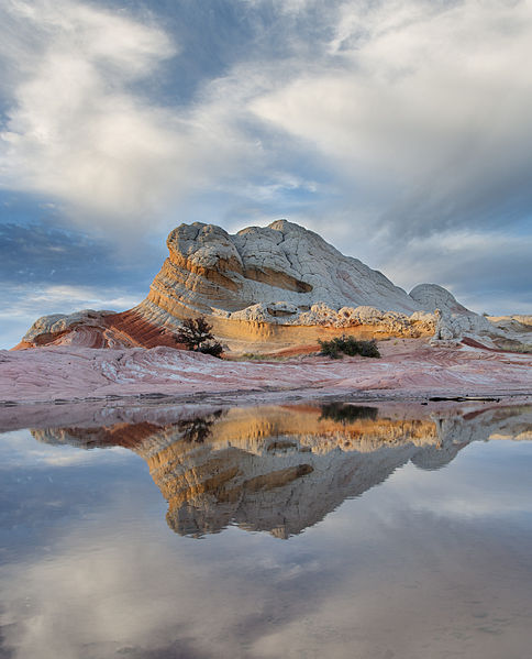 File:White Pocket Reflection.jpg