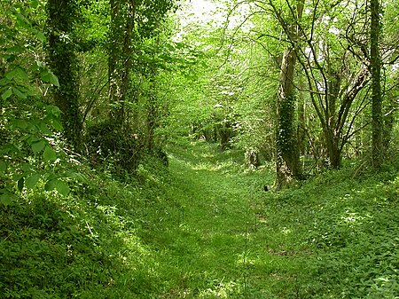 Whitsbury castle geograph 1869831 by Mike Faherty