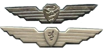 Flight Doctor's and Flight Combat medic's Badge (two versions)
