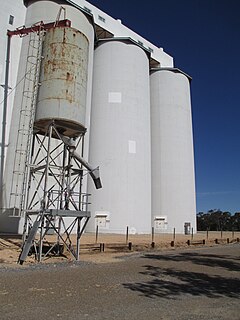 <span class="mw-page-title-main">Moorook railway line</span>