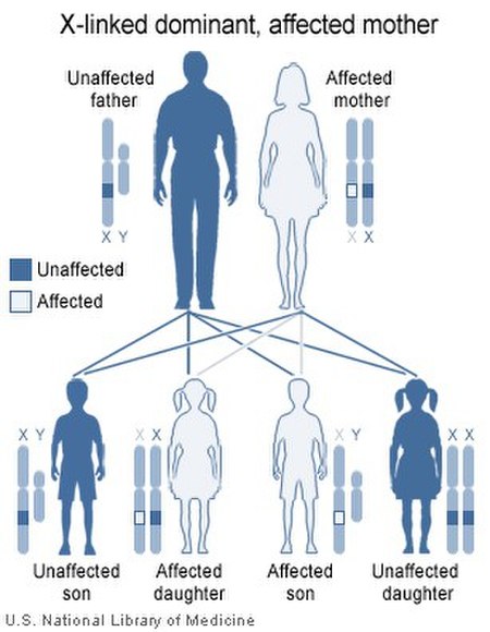 Bệnh sắc tố incontinentia