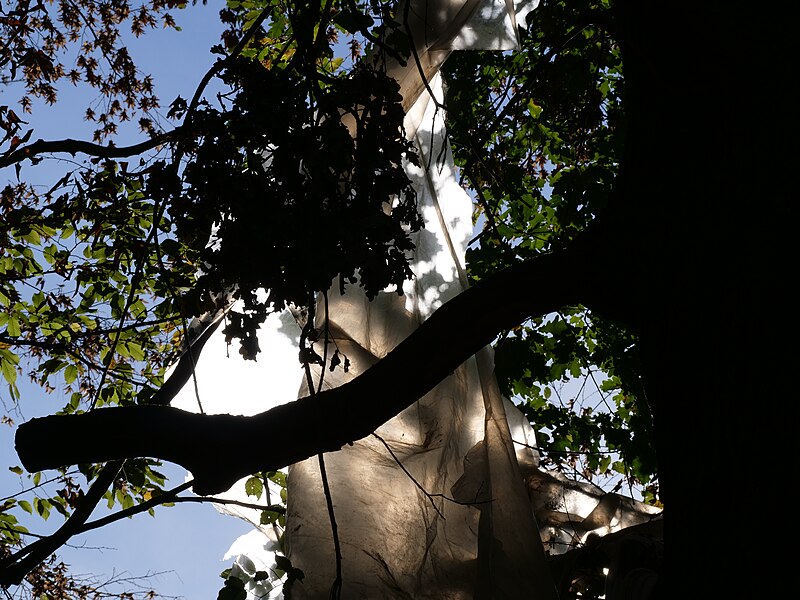 File:"Gallien" treehouse village after eviction 01.jpg