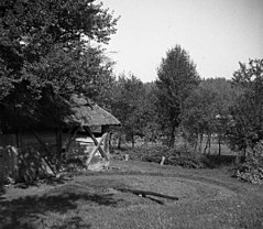 "Gepl" v Artiži vasi, pri Krčmarji 1950.jpg