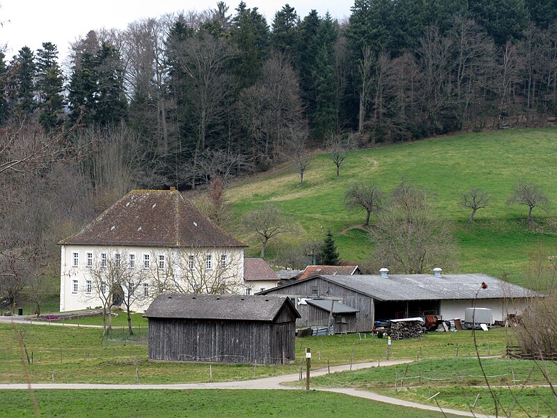 File:(Wasser-)Schloss Birkenreute in Kirchzarten.jpg