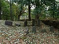 Čeština: Náhrobky na židovském hřbitově v Batelově, okres Jihlava. English: Gravestones in the Jewish cemetery by the village of Batelov, Jihlava District, Vysočina Region, Czech Republic. This is a photo of a cultural monument of the Czech Republic, number: 27600/7-4693. Památkový katalog  · MIS  · hledat obrázky  · hledat seznamy  · Wikidata