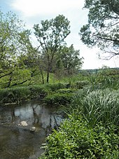 Der Inhulez im Naturschutzgebiet Botschky bei Dmytriwka