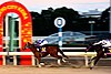 モダンウーマンが「第39回東京2歳優駿牝馬(SI)選定馬重賞」を勝利、GRANDAME-JAPANの2歳シーズンをも制覇するより CC BY-SA 4.0