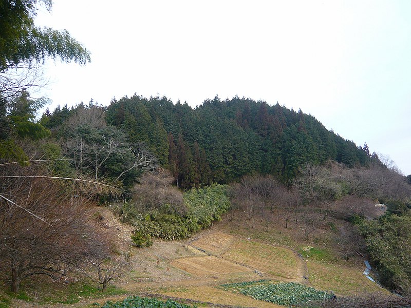 File:大淀町矢走 愛宕山(矢走城跡) Atagoyama, the site of Yabase castle 2011.2.19 - panoramio.jpg