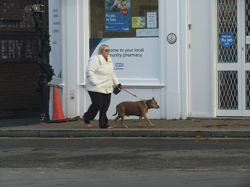File:-2022-12-05 Walking a dog, High Street, Mundesley, Norfolk, England.JPG