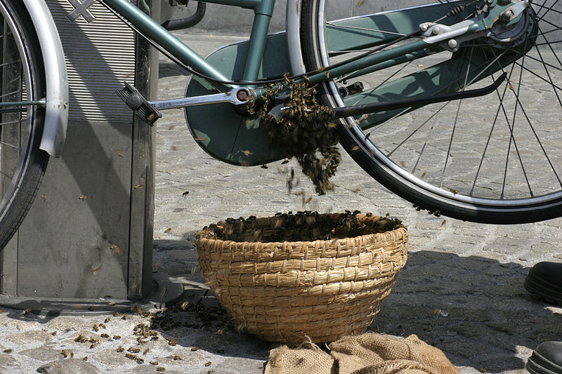 File:- Bee swarm on a bicycle (5-5) -.jpg