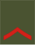 01-Esercito del Montenegro-LCP.svg